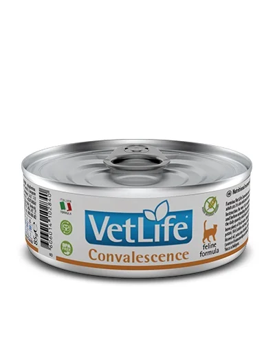 Vet Life Cat Convalescence – 12×85 g