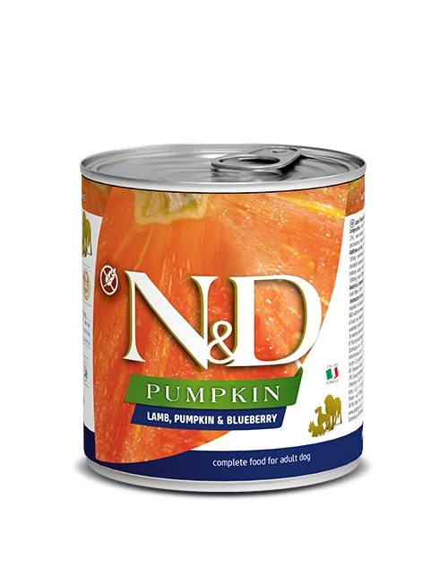 N&D Pumpkin Lamb, Pumpkin&Blueberry – 6×285 g