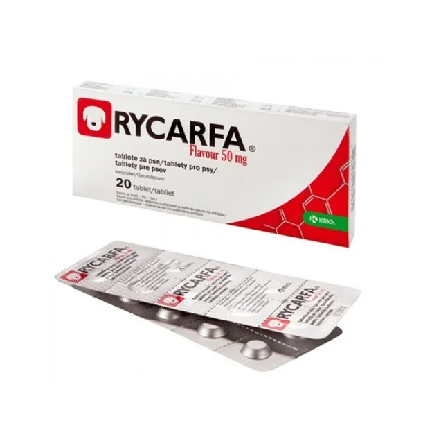 Krka Rycarfa Flavour 50 mg – 20 tableta