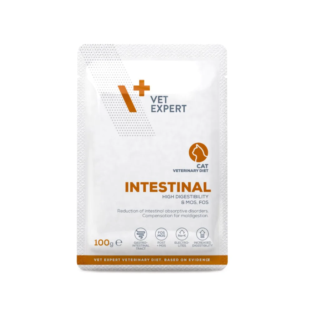 VetExpert Intestinal Cat – 12×100 g