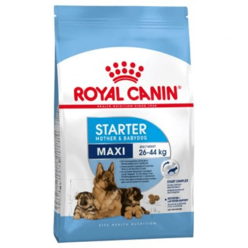 Royal Canin Maxi Starter – 4 kg