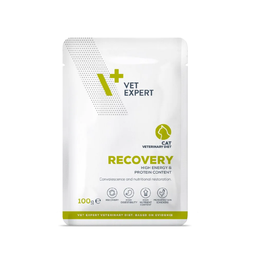 VetExpert Recovery Cat – 12×100 g