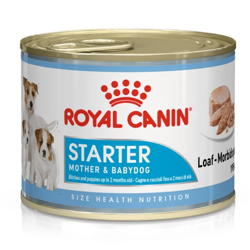 Royal Canin Starter Mousse Dog – 12×195 g