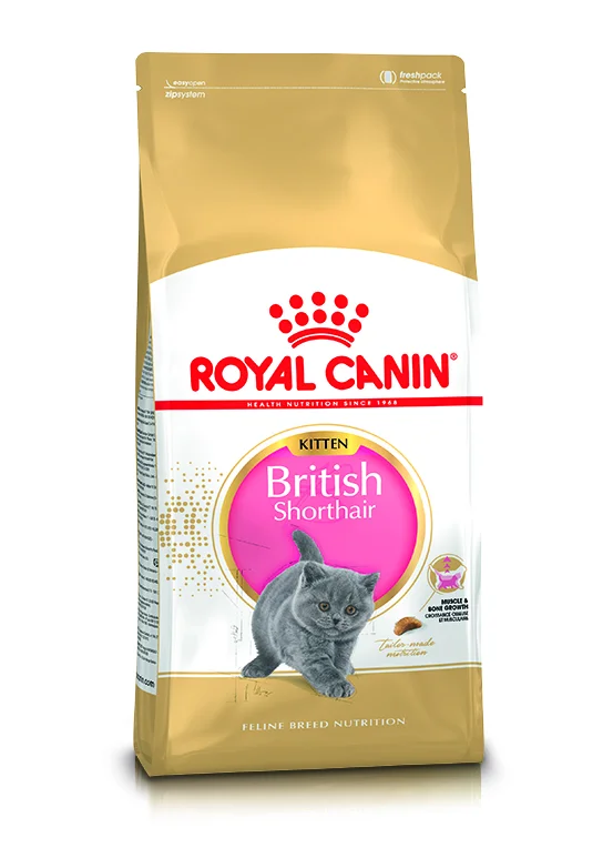 Royal Canin British Shorthair Kitten – 2 kg