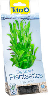 Tetra Planst. DecoArt 15cm, Hygropila S [EN]