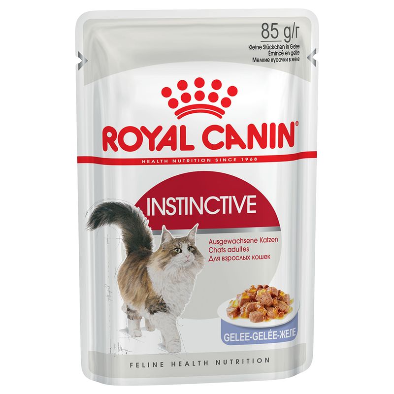 Jelly Instinctive 85g 12/1