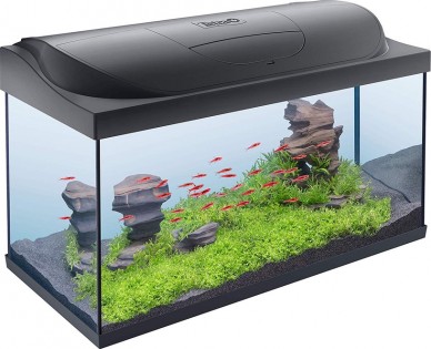 Tetra akvarijum Starter Line LED Tank black 105 L [EN]