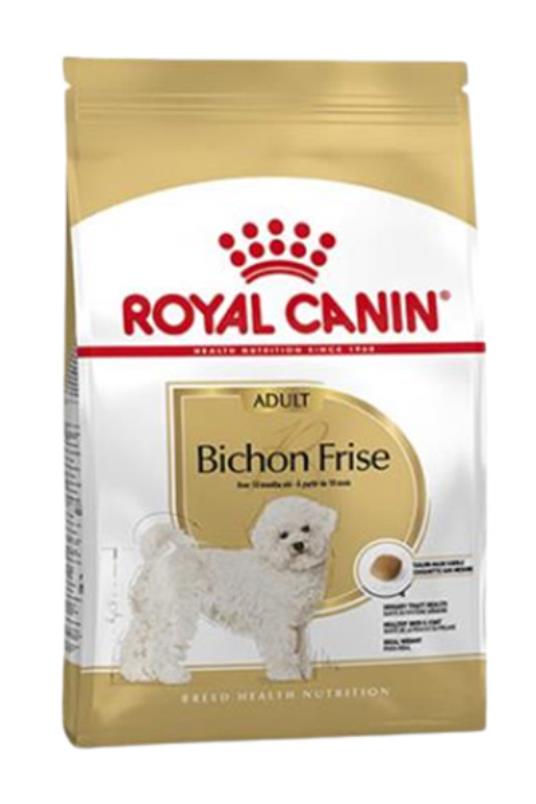 Bichon frise 1,5kg