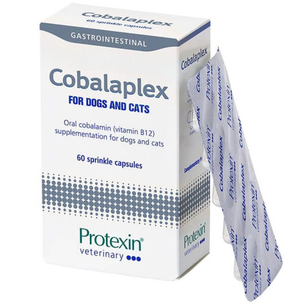 Cobalaplex, 60 kapsula, Protexin, UK