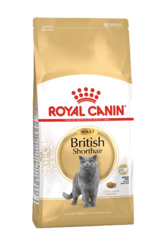 British ShortHair 2kg
