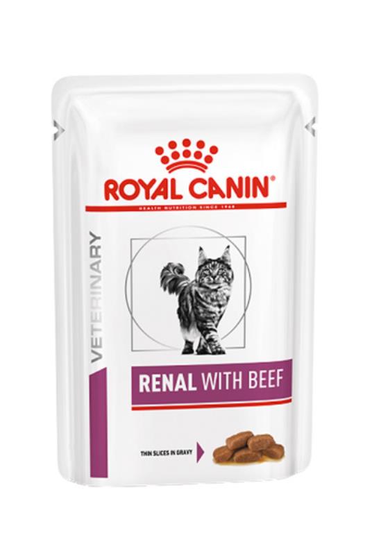 Renal Bf Cat 85gr12/1 preliv [EN]