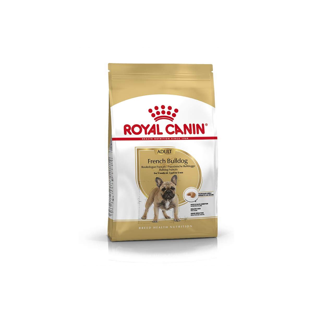 French Bulldog 3kg