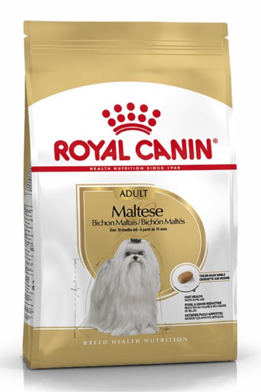 Maltese 1,5kg