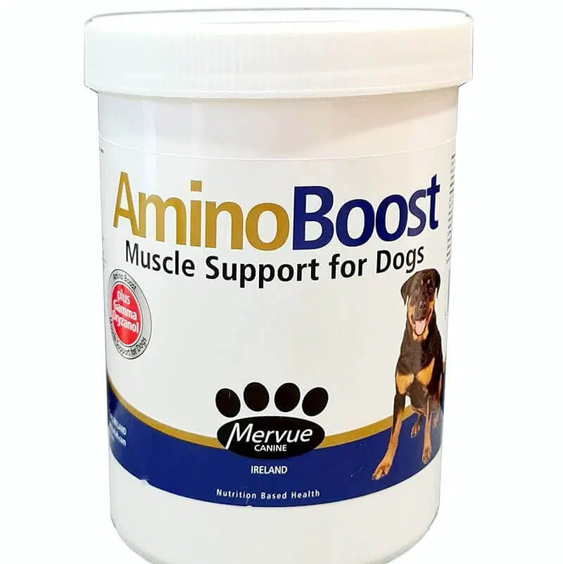 Oralade Aminoboost 100g [EN]