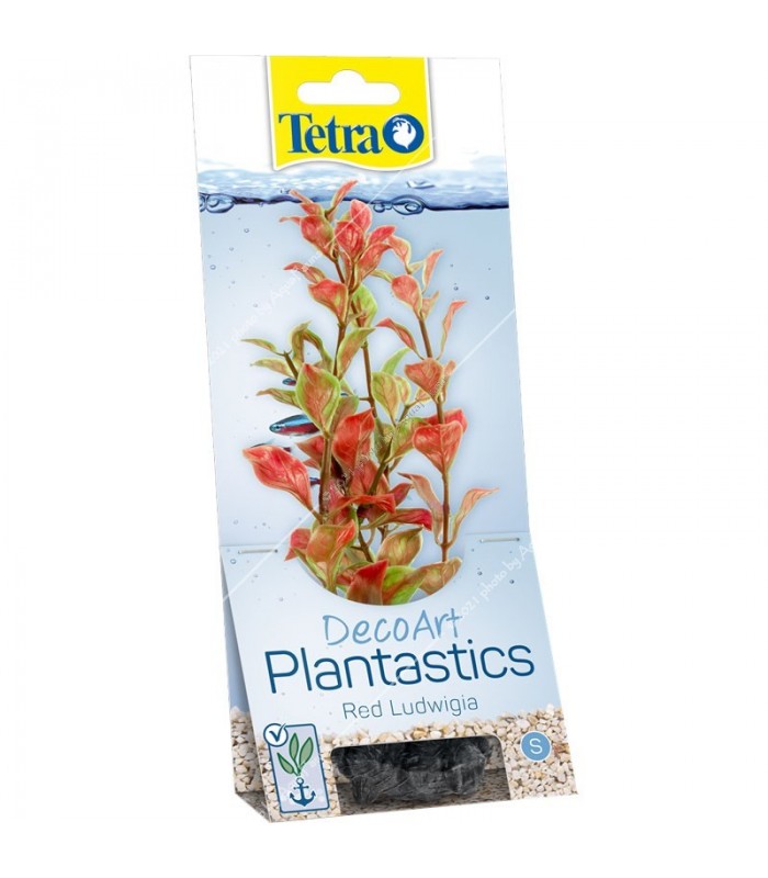 Tetra Planst. DecoArt 23 cm, R. Ludwigia M [EN]