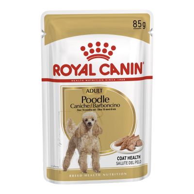 Poodle Puppy 3kg [EN]
