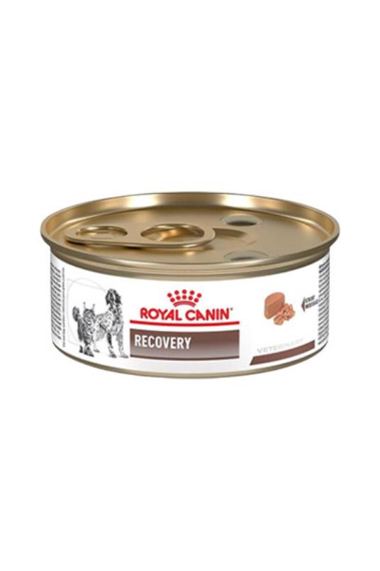 Recovery Dog/C195g konz [EN]