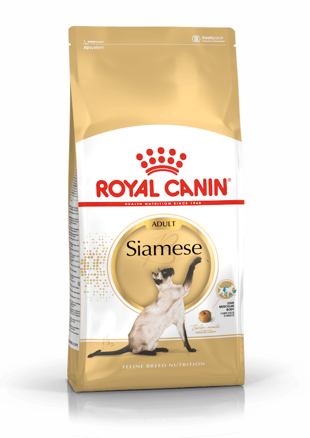 Siamese 10kg [EN]