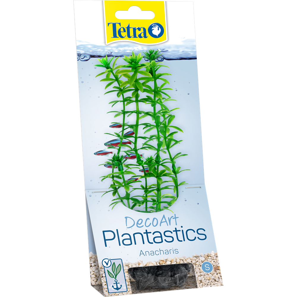 Tetra Planst. DecoArt 23 cm, Anacharis M [EN]