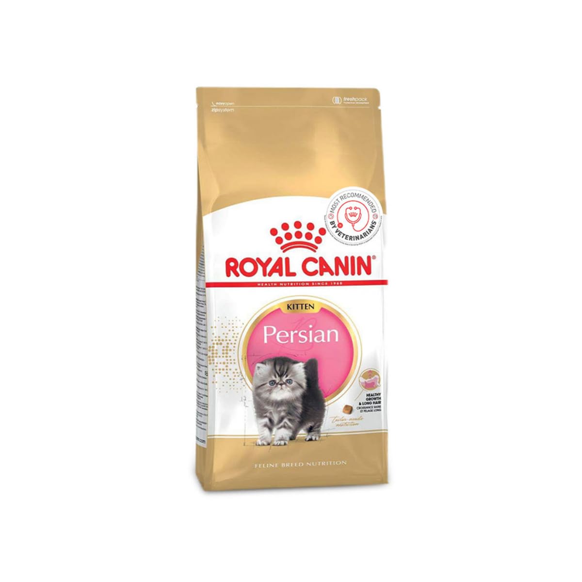 Kitten Persian 2kg
