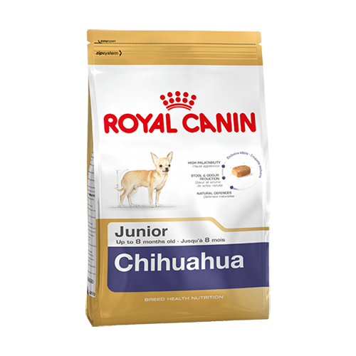Chihuahua Puppy 0,5kg [EN]