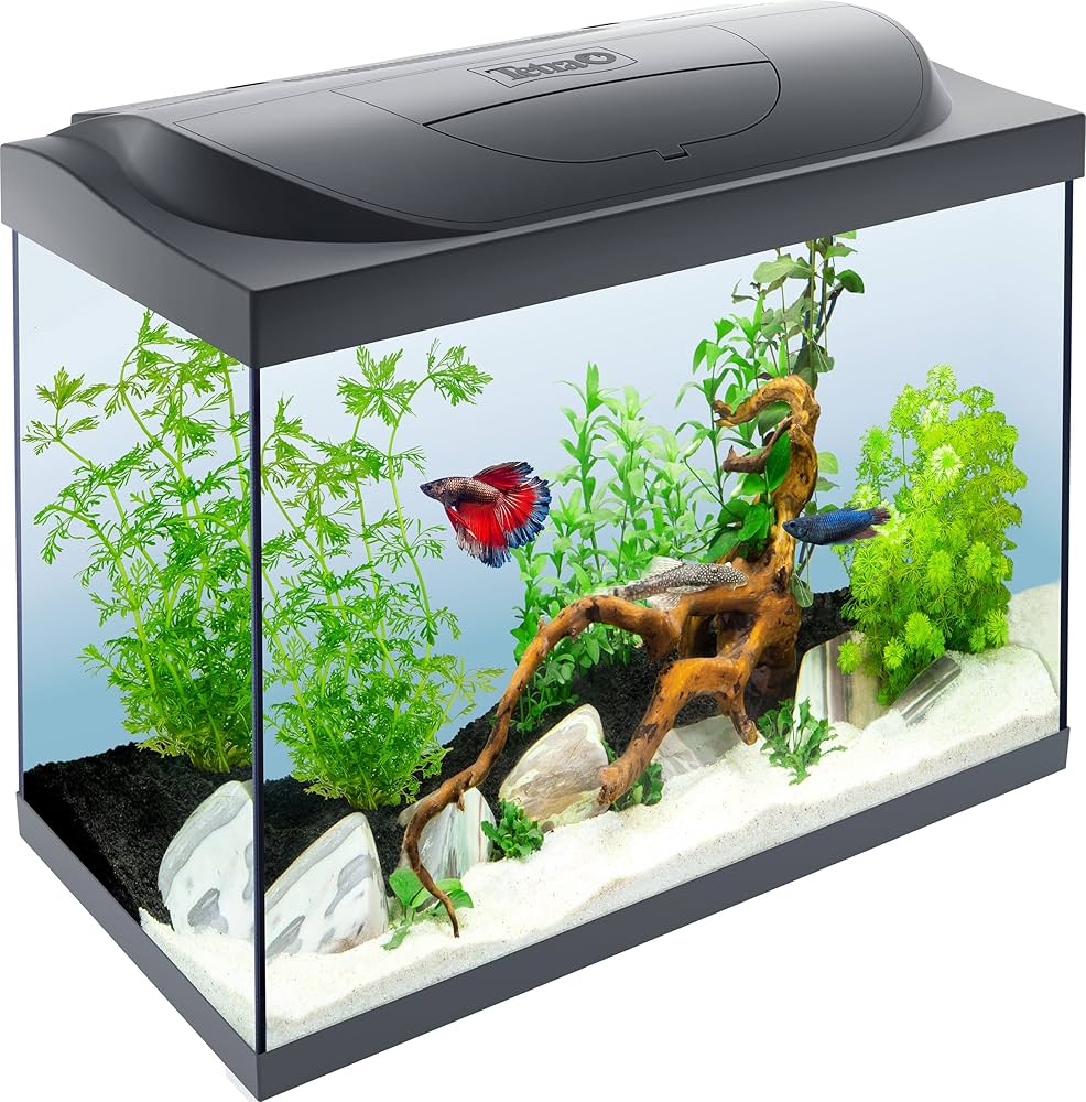 Tetra akvarijum Starter Line LED Tank black 80 l [EN]