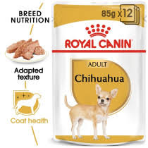 Chihuahua 12x85 gr [EN]