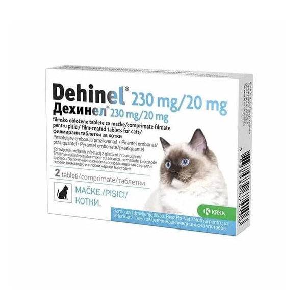 Dehinel Cat
