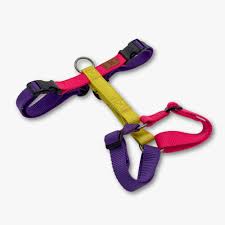 Am sareni harness 2cmx 44-55cm
