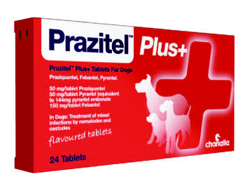 Prazitel plus  1 tableta