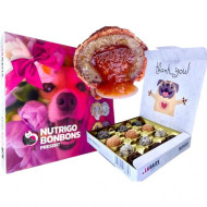 Nutrigo Bonbons Present