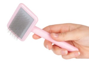 Cetka Show Tech roze