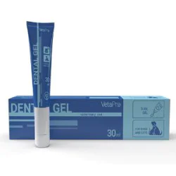 Dental gel