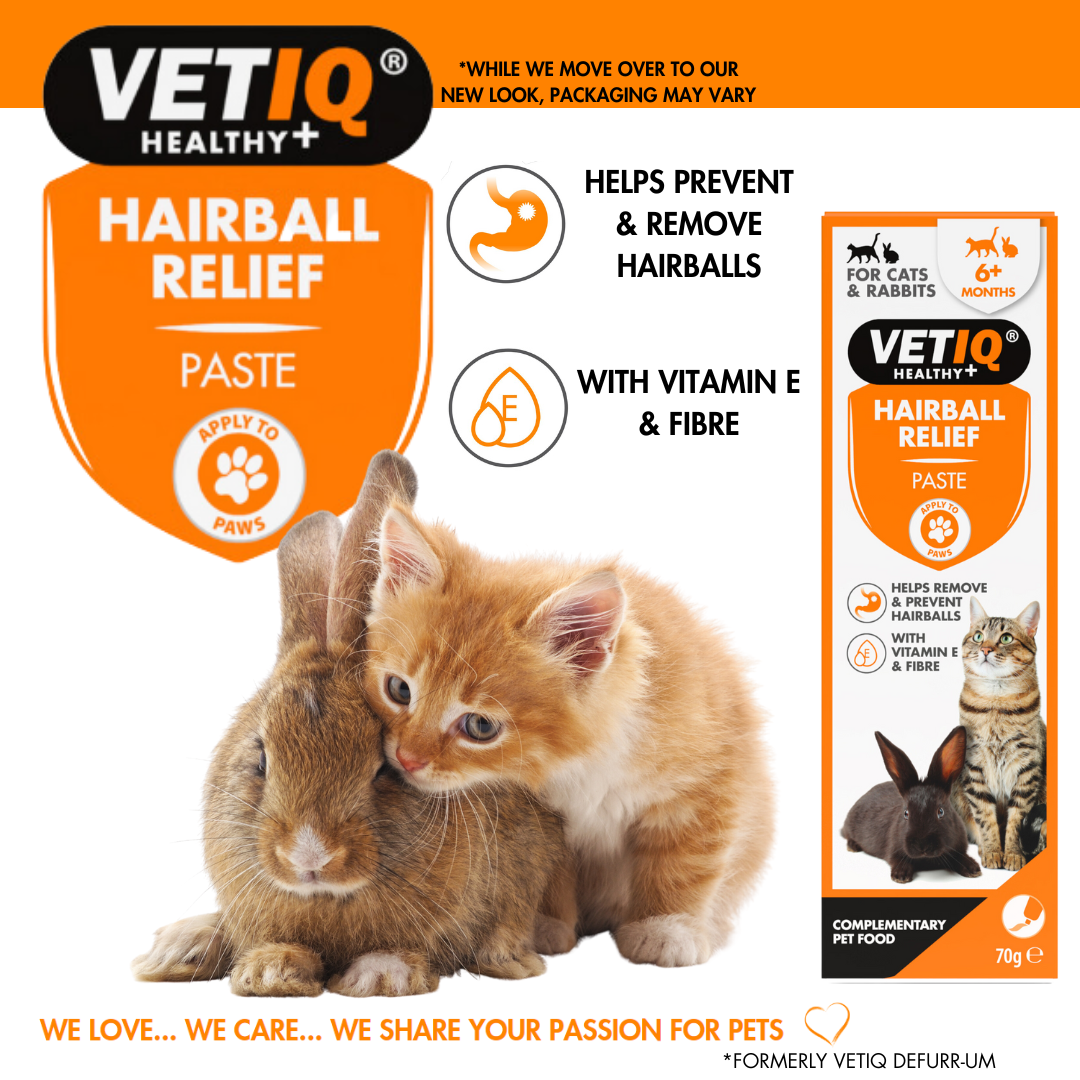 VetIQ Hairball Relief Pasta 70g