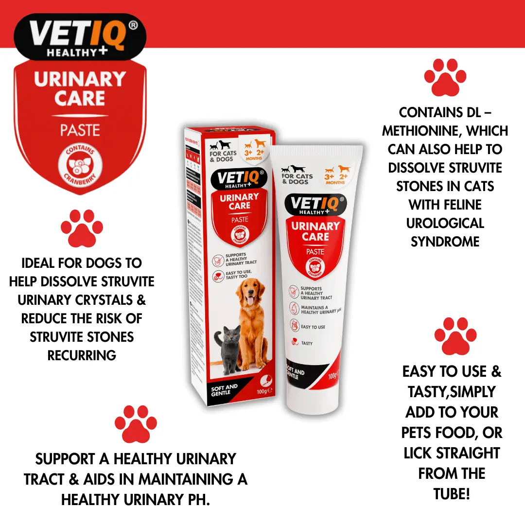 VetIQ Urinary Care Pasta 100g