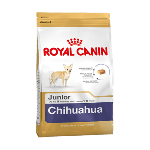 Chihuahua Puppy 0,5kg