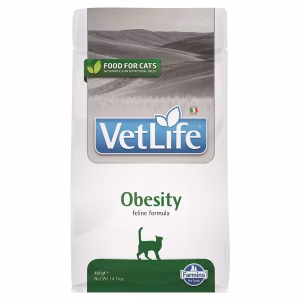 Obesity Cat 0,4kg
