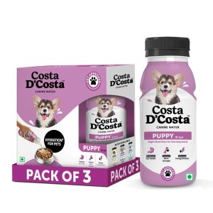 GastroI.HE dog liquid 3x0,2l [EN]