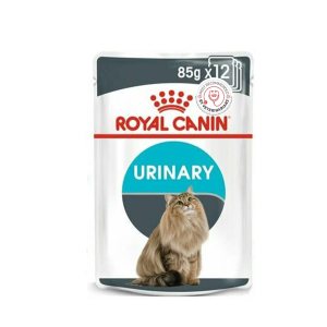 WET Urinary Care 85gr 12/1