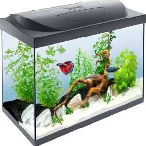 Tetra akvarijum Starter Line LED Tank black 80 l